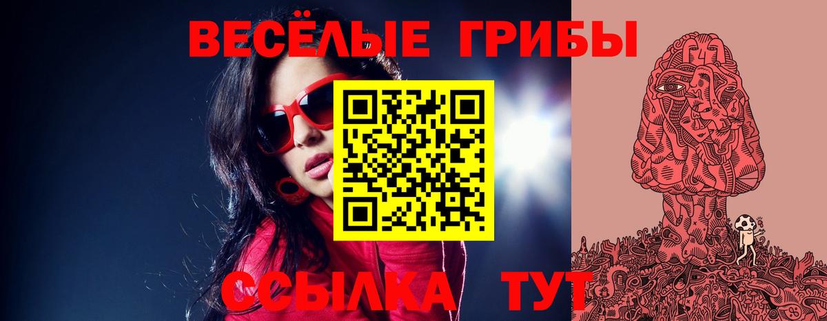 Псилоцибиновые грибы мицелий  Псилоцибиновые грибы мицелий  Вход с VPN  Великий Устюг 
